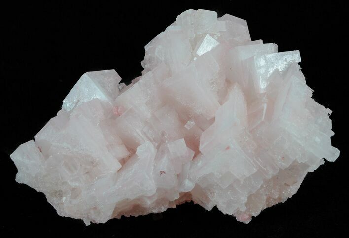 Pink Halite Crystal Plate - Trona, California #61069